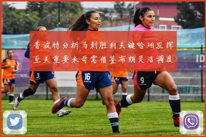 香波特分析马刺胜利关键哈珀发挥至关重要米奇需借鉴布朗灵活调度