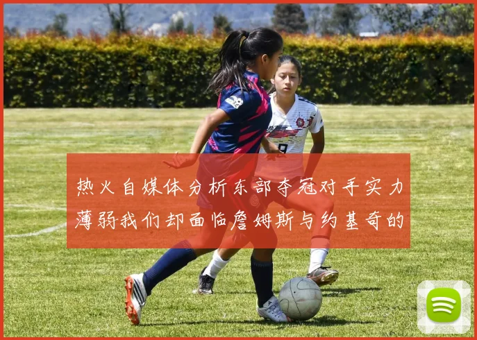 热火自媒体分析东部夺冠对手实力薄弱我们却面临詹姆斯与约基奇的挑战