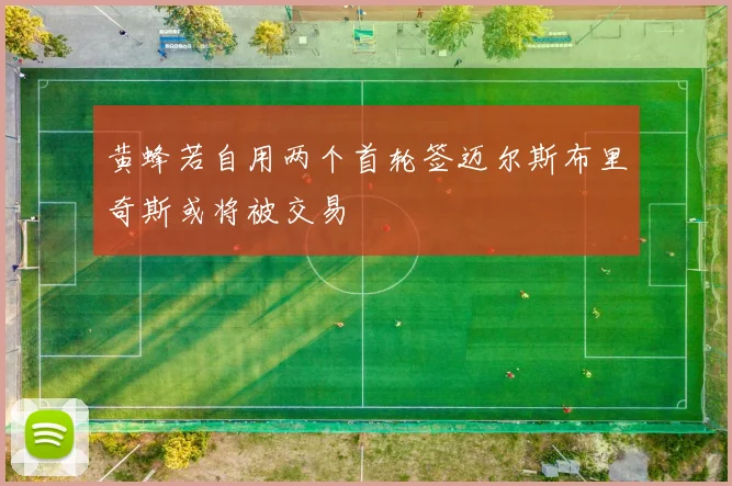 黄蜂若自用两个首轮签迈尔斯布里奇斯或将被交易
